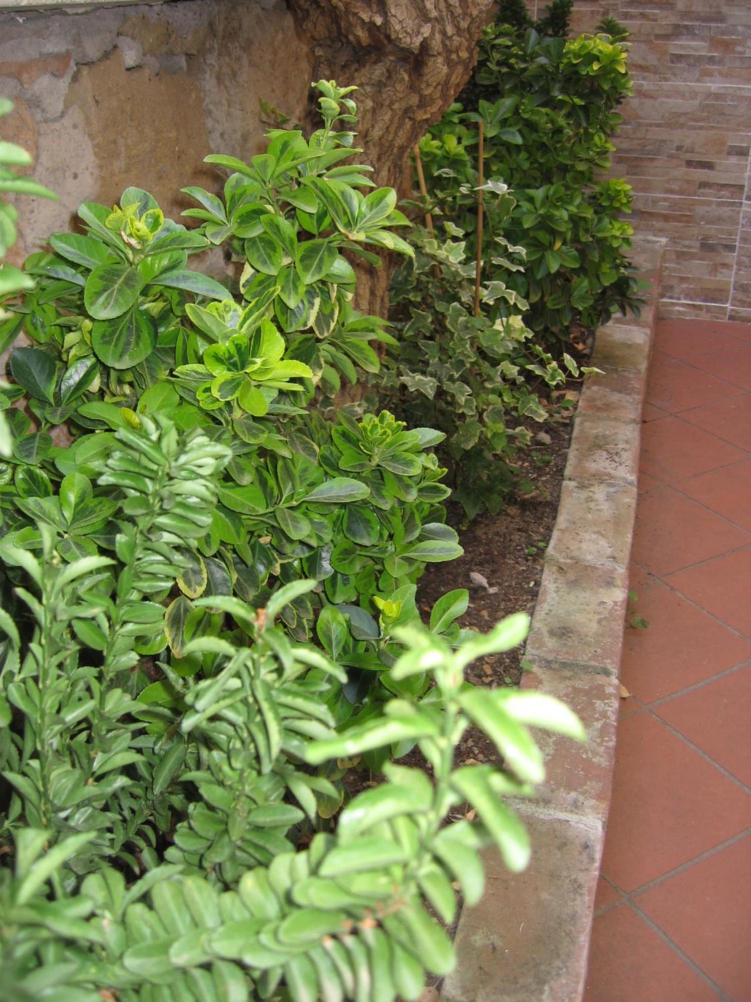 Gianicolense Suite-apartment * Rom